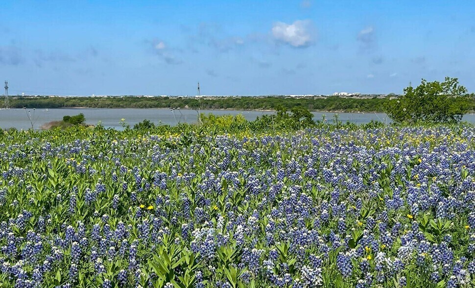 More Photos Of 3111 Koscher Dr, Cedar Hill Land For Sale