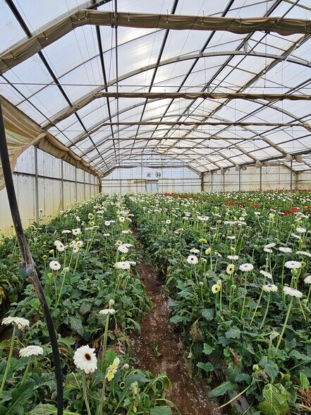 More Photos Of 481 San Andreas Rd, Pajaro Land For Sale