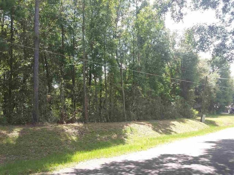 More Photos Of N Highway 90, Sneads Land For Sale