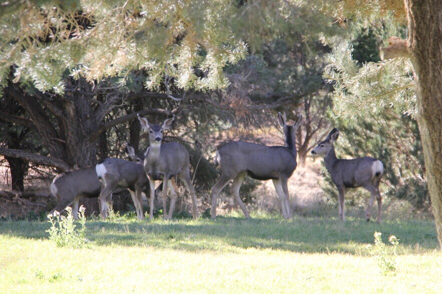 More Photos Of 1627 950 South, Parowan Land For Sale