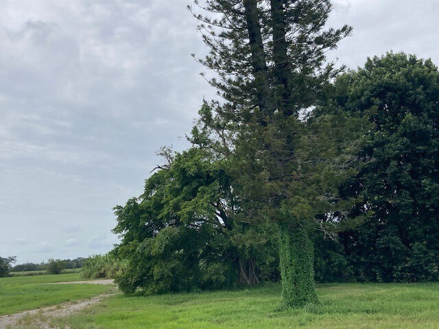 More Photos Of 2444 State Road 15 (US 441) St, Belle Glade Land For Sale