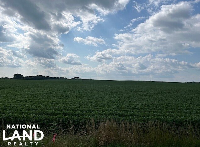 More Photos Of 820 Johnson Ave SW, Cokato Land For Sale