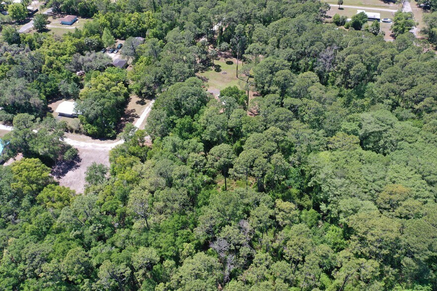 More Photos Of 638 Walnut St, Welaka Land For Sale