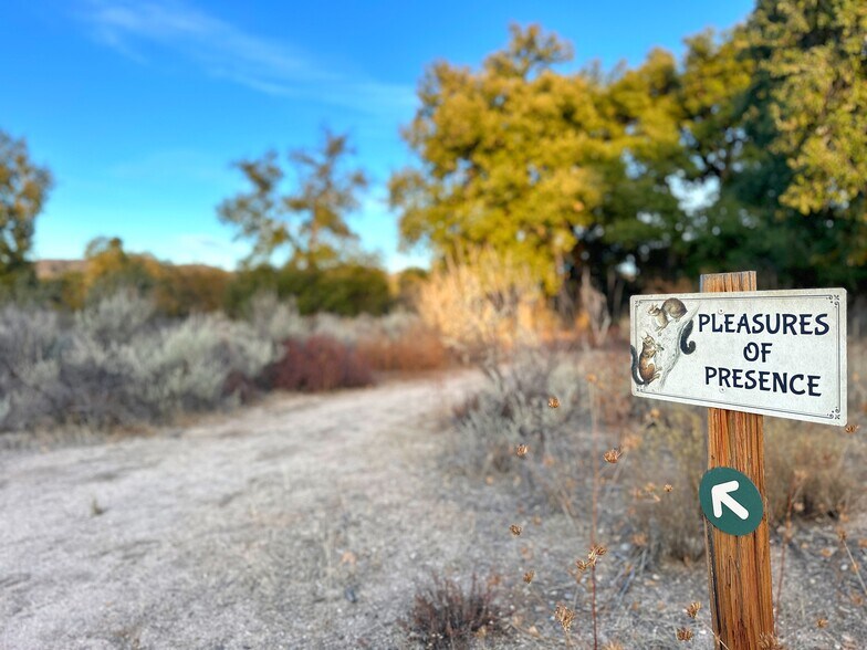 More Photos Of 30415 Chihuahua Valley Rd, Warner Springs Land For Sale