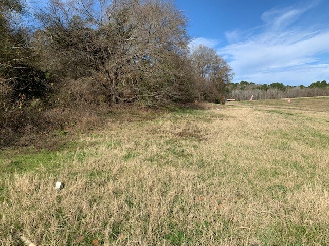 More Photos Of 155 N State Highway 155, Palestine Land For Sale