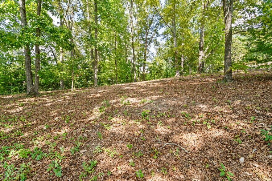 More Photos Of 314 Lakeside dr, Hiawassee Land For Sale