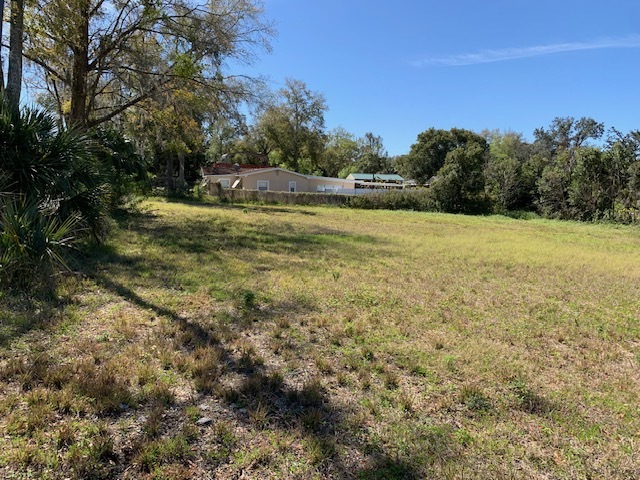 Primary Photo Of Busby Avenue, Orlando Land For Sale