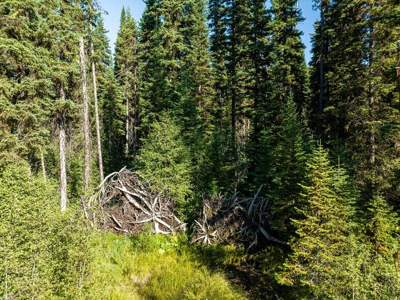 More Photos Of Nhn Logan Creek Road, Kila Land For Sale