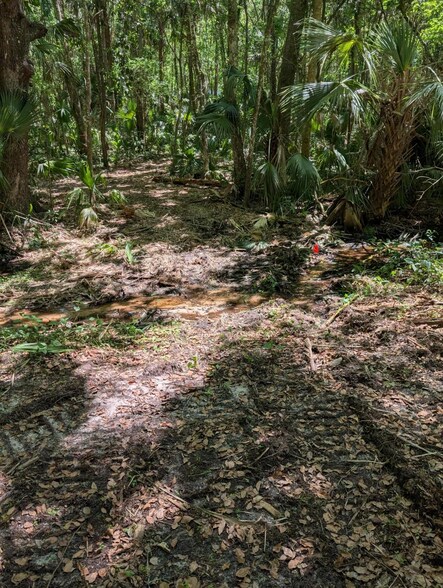 More Photos Of 0 NW 202nd Pl, McIntosh Land For Sale