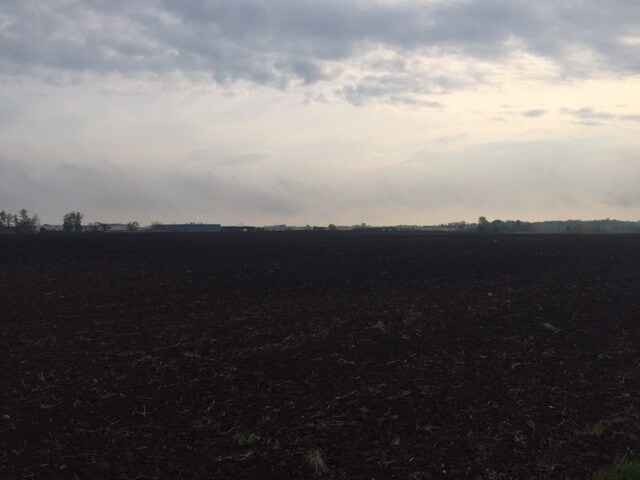 More Photos Of 22900 S Center Rd, Frankfort Land For Sale