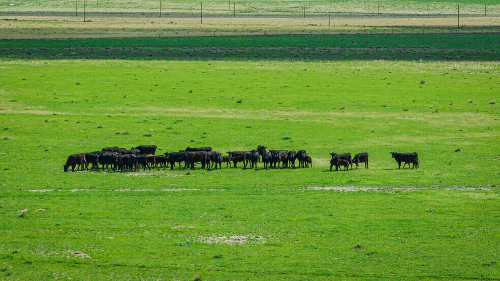 More Photos Of Squirrel Creek Road, Colorado Springs Land For Sale