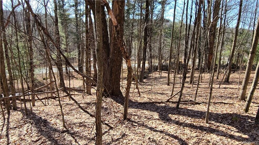 More Photos Of Old Route 17 @ County Route 174, Harris Land For Sale