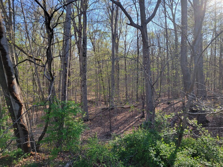 More Photos Of 5033 Davis Ford Rd, Woodbridge Land For Sale