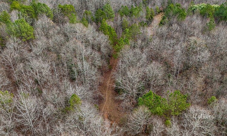 More Photos Of 00 Painter Road Rd, Pelzer Land For Sale