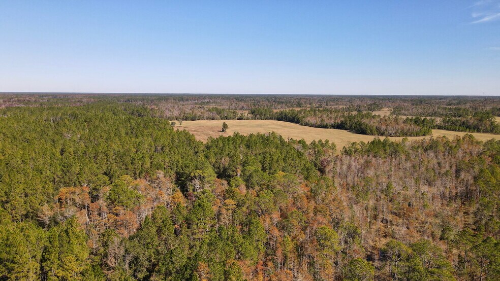 More Photos Of 4597 State 24 rd, Bronson Land For Sale