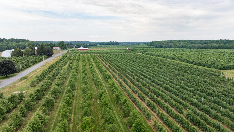 More Photos Of 6258 Hill rd, Sodus Land For Sale