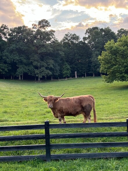 More Photos Of 1019 Hardscrabble Rd, Mineral Bluff Winery Vineyard For Sale