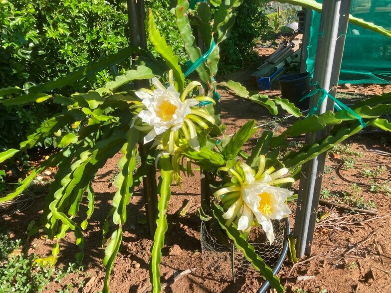 More Photos Of 4 Parcels SANDIA CREEK/DELORME dr, Temecula Land For Sale