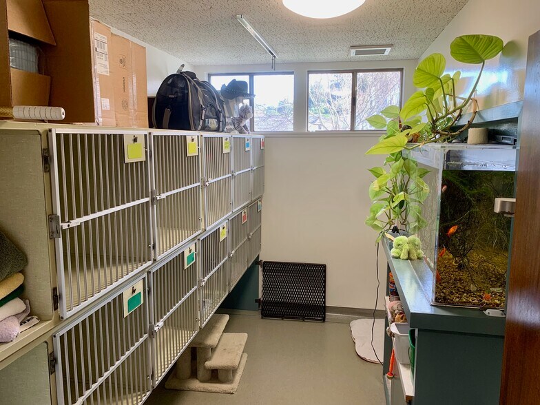 More Photos Of 142 Lomita Dr, Mill Valley Veterinarian Kennel For Sale