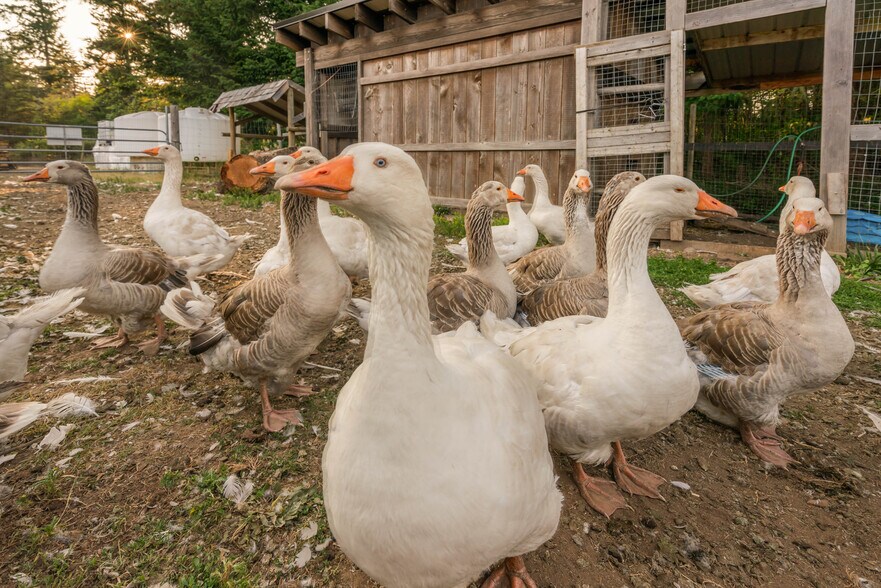 More Photos Of 2400 Anderton Rd, Comox Land For Sale