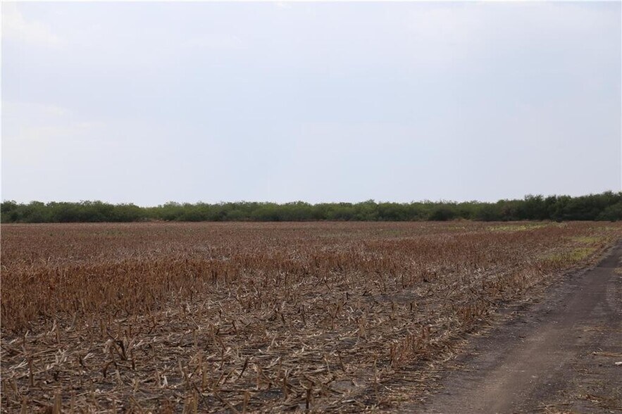 More Photos Of 0 CR 20, Petronila Land For Sale