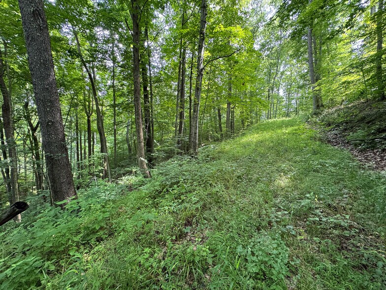 More Photos Of 8441 Millertown Rd SE, Corning Land For Sale