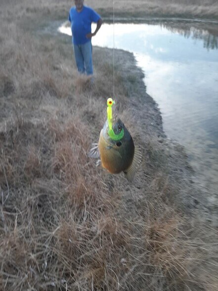 More Photos Of 1000 Hobbs, Robinson Land For Sale