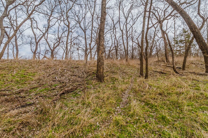 More Photos Of 79+/- Acres on 272nd Rd. Rd @ 41st Rd, Arkansas City Land For Sale