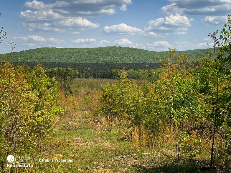 More Photos Of 1084 Stoney Pointe, Lexington Land For Sale