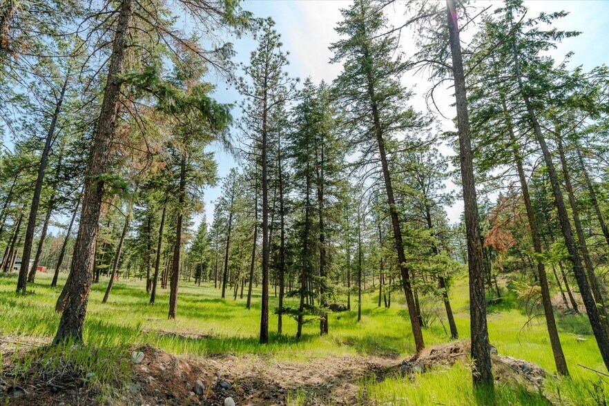 More Photos Of 327 Stone Mountain Rd, Rexford Land For Sale