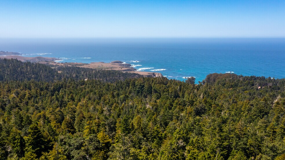 More Photos Of 33170 Frog Pond rd, Little River Land For Sale