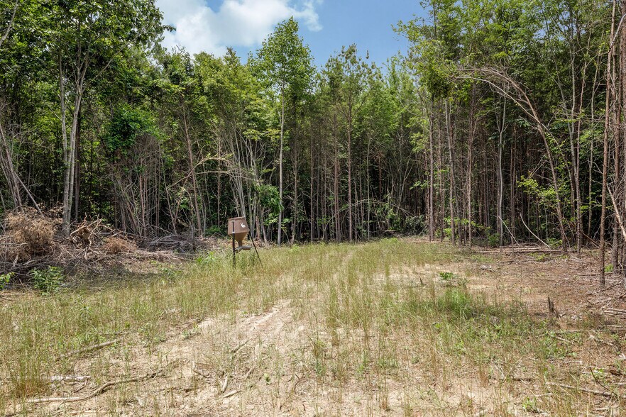 More Photos Of 1129 Sloan dr, Blountsville Land For Sale
