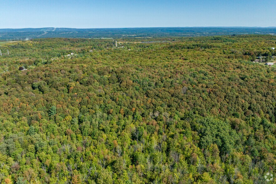 More Photos Of 6520 Mallory Rd, Marcy Land For Sale