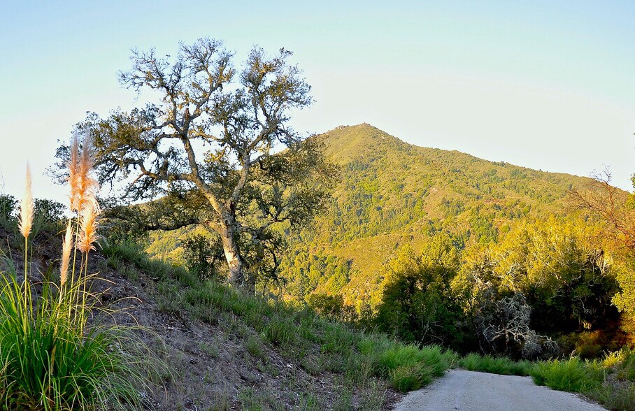 More Photos Of 128 Ridgecrest Road, Kentfield Land For Sale