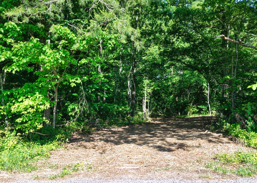 More Photos Of 1622 Monteagle Falls Rd, Monteagle Land For Sale