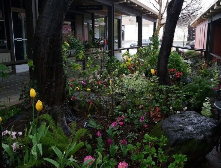 More Photos Of 785 Oak Grove Rd, Concord Unknown For Lease