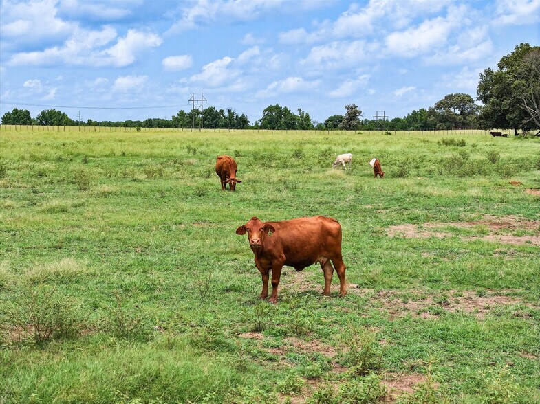 More Photos Of Tract 9 County Road 3415, Jacksonville Land For Sale