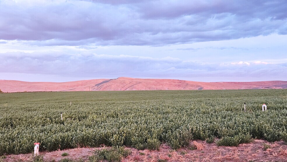 More Photos Of 125498 W Mccreadie Rd, Prosser Land For Sale