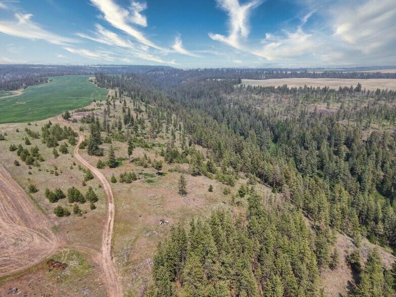 More Photos Of 45XXX Devore Rd, Davenport Land For Sale