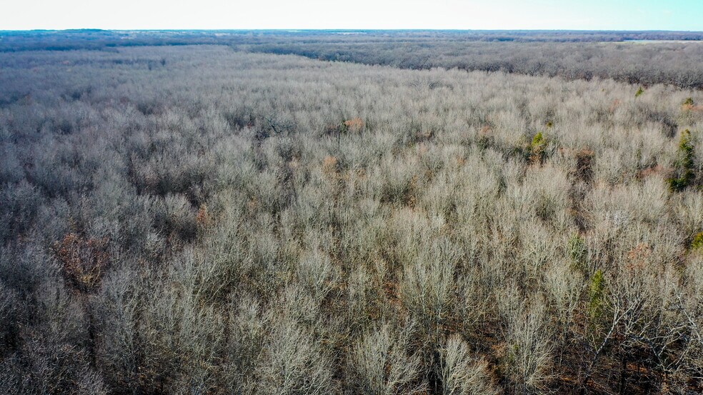 More Photos Of 1200 County 1255 rd, Detroit Land For Sale