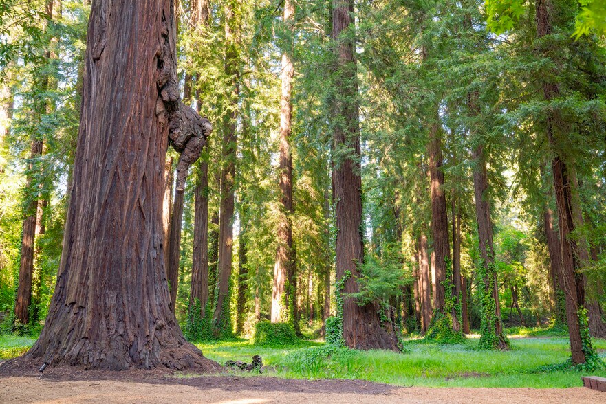 More Photos Of 9000 Highway 128, Philo Hotel For Sale