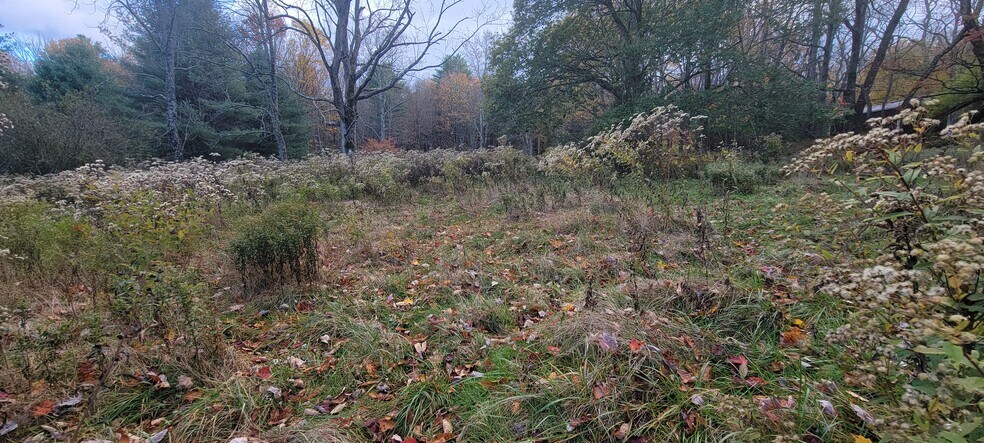 More Photos Of 1195 State Route 17B, Bethel Land For Sale