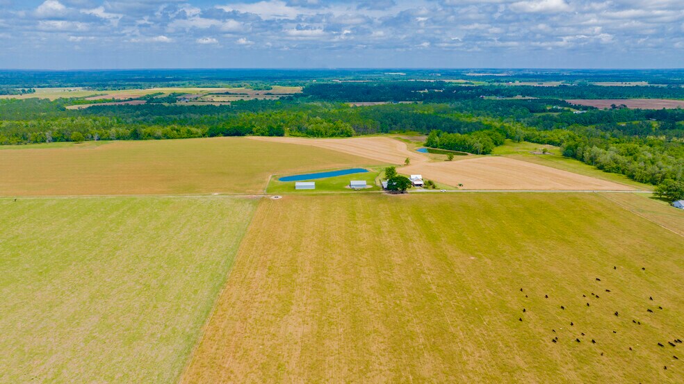 More Photos Of 24795 Hwy 32, Elberta Land For Sale