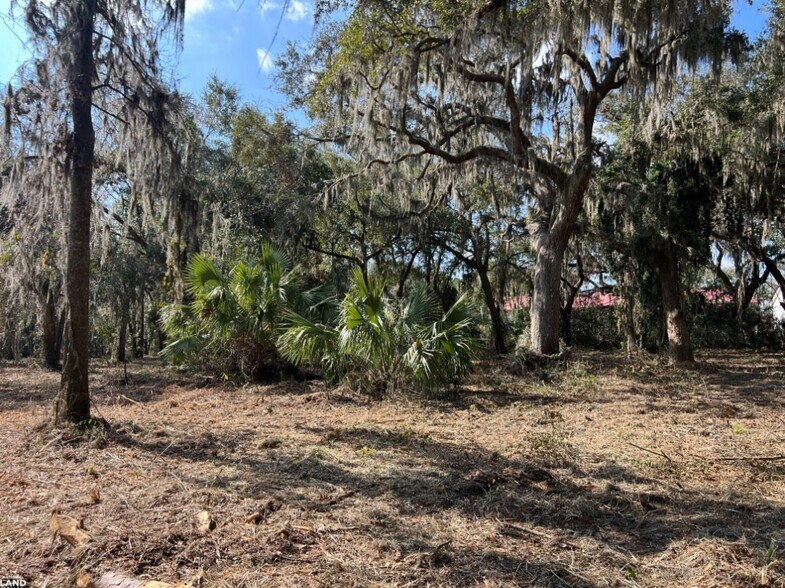 More Photos Of 3855 Darien Hwy, Brunswick Land For Sale