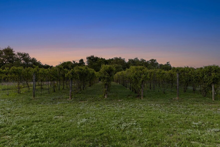 More Photos Of 18059A Ranch to Market Road 1826, Driftwood Winery Vineyard For Sale