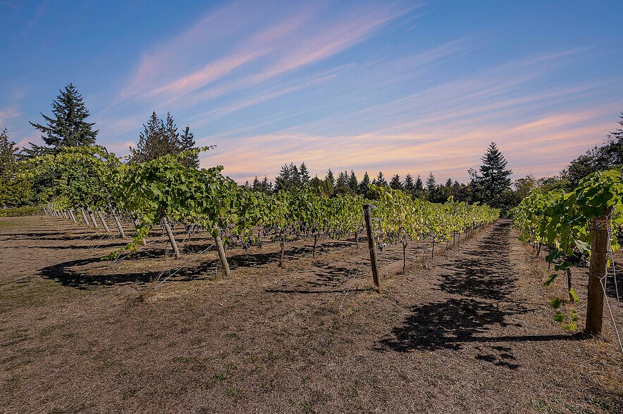 More Photos Of 1673 Woodland Dr, Port Townsend Winery Vineyard For Sale