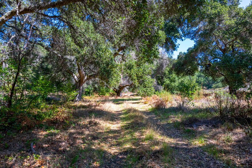 More Photos Of 2372 McKenzie Creek rd, Scotts Valley Land For Sale