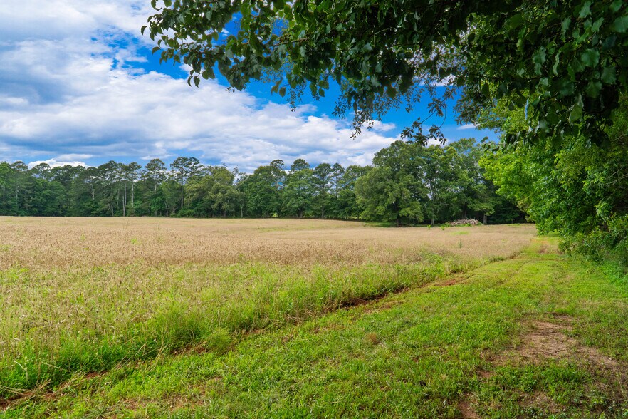 More Photos Of 1013 Amber Stapp Studdard Rd, Social Circle Land For Sale
