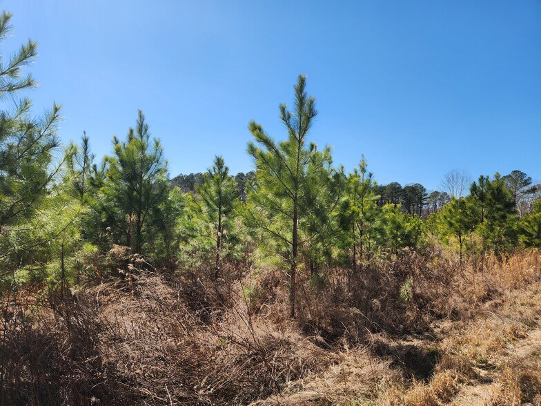 More Photos Of 3004 U.S. 401 Hwy, Louisburg Land For Sale