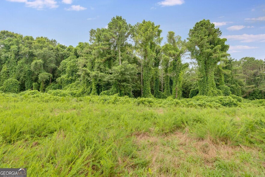 More Photos Of 104 Martin Cemetery Rd, Carrollton Land For Sale